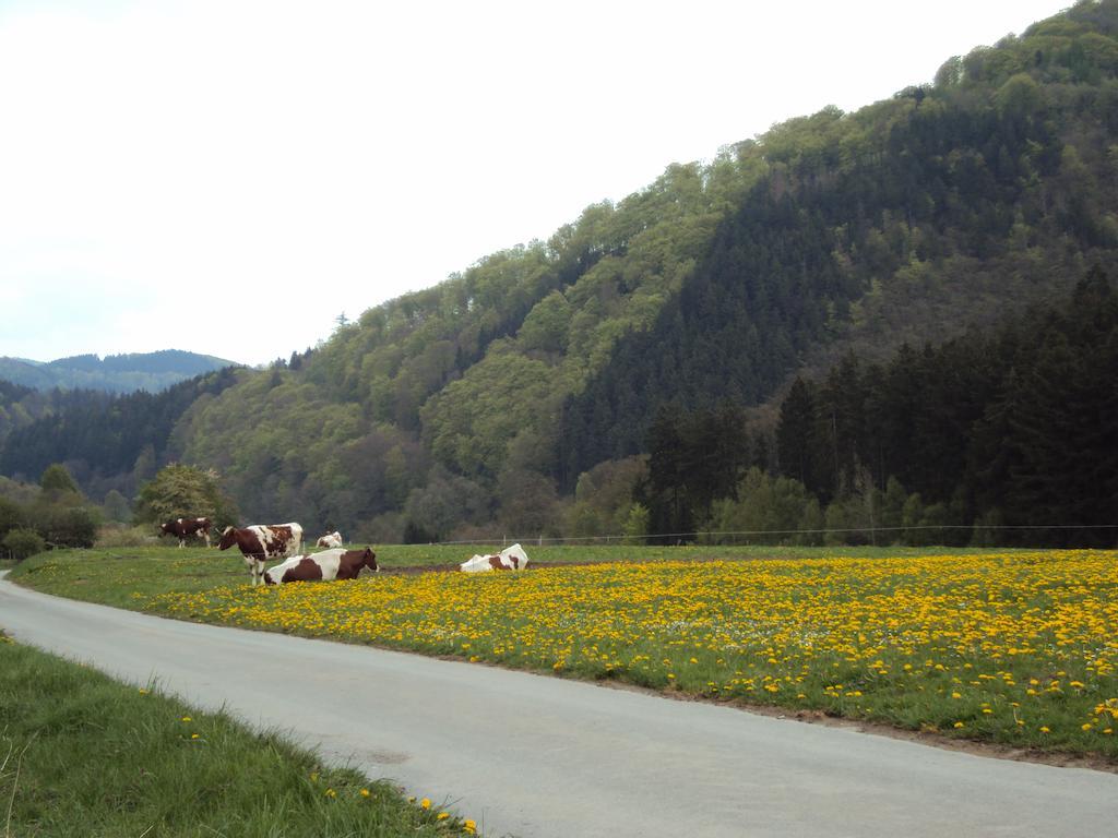 Gasthof Zum Diemeltal Marsberg Zewnętrze zdjęcie