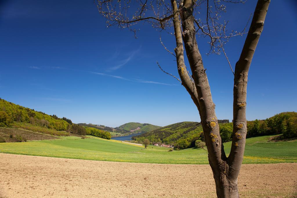Gasthof Zum Diemeltal Marsberg Zewnętrze zdjęcie