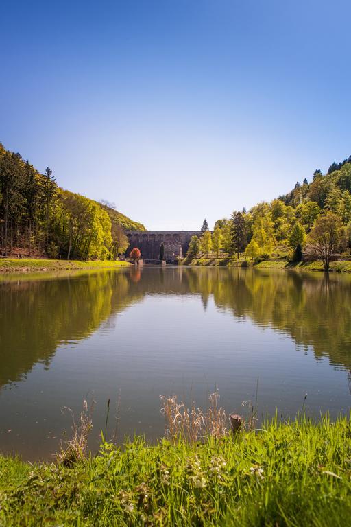 Gasthof Zum Diemeltal Marsberg Zewnętrze zdjęcie