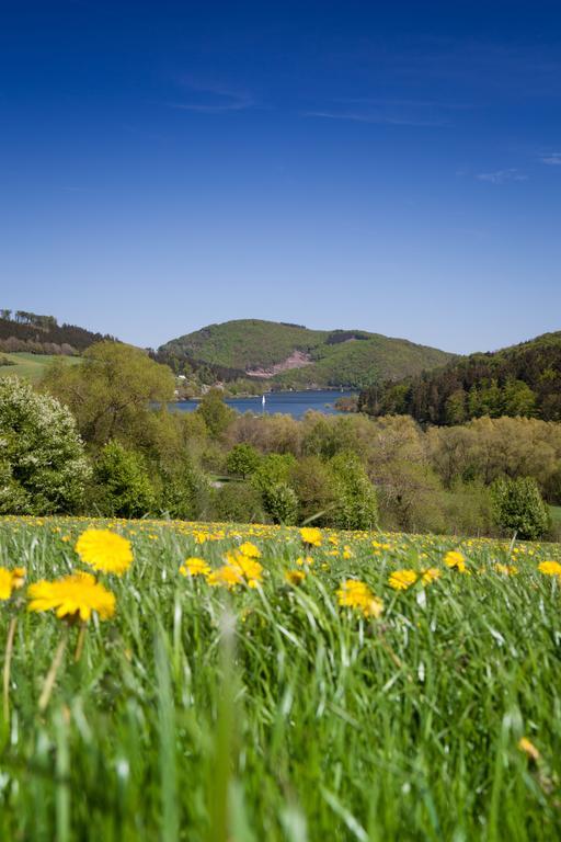 Gasthof Zum Diemeltal Marsberg Zewnętrze zdjęcie
